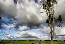 IM体育官方网站-ATP总决赛鏖战温网，蒂姆状态火热的简单介绍