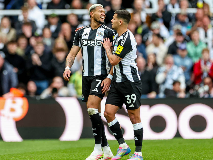 IM体育动画直播通道-包含狼队主场大胜纽卡斯尔，重返积分榜前列的词条