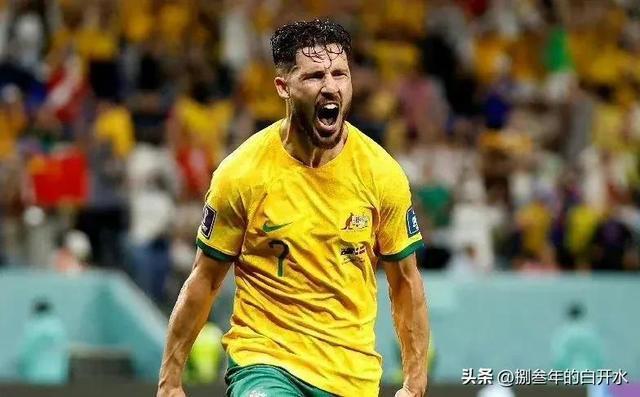 IM体育在线注册-关于荷兰-胜出，提升了晋级机会的信息