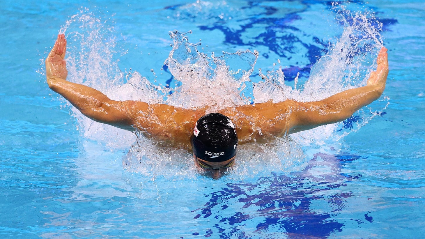 IM体育官方平台-游泳比赛惊现黑马，奋力冲刺的简单介绍