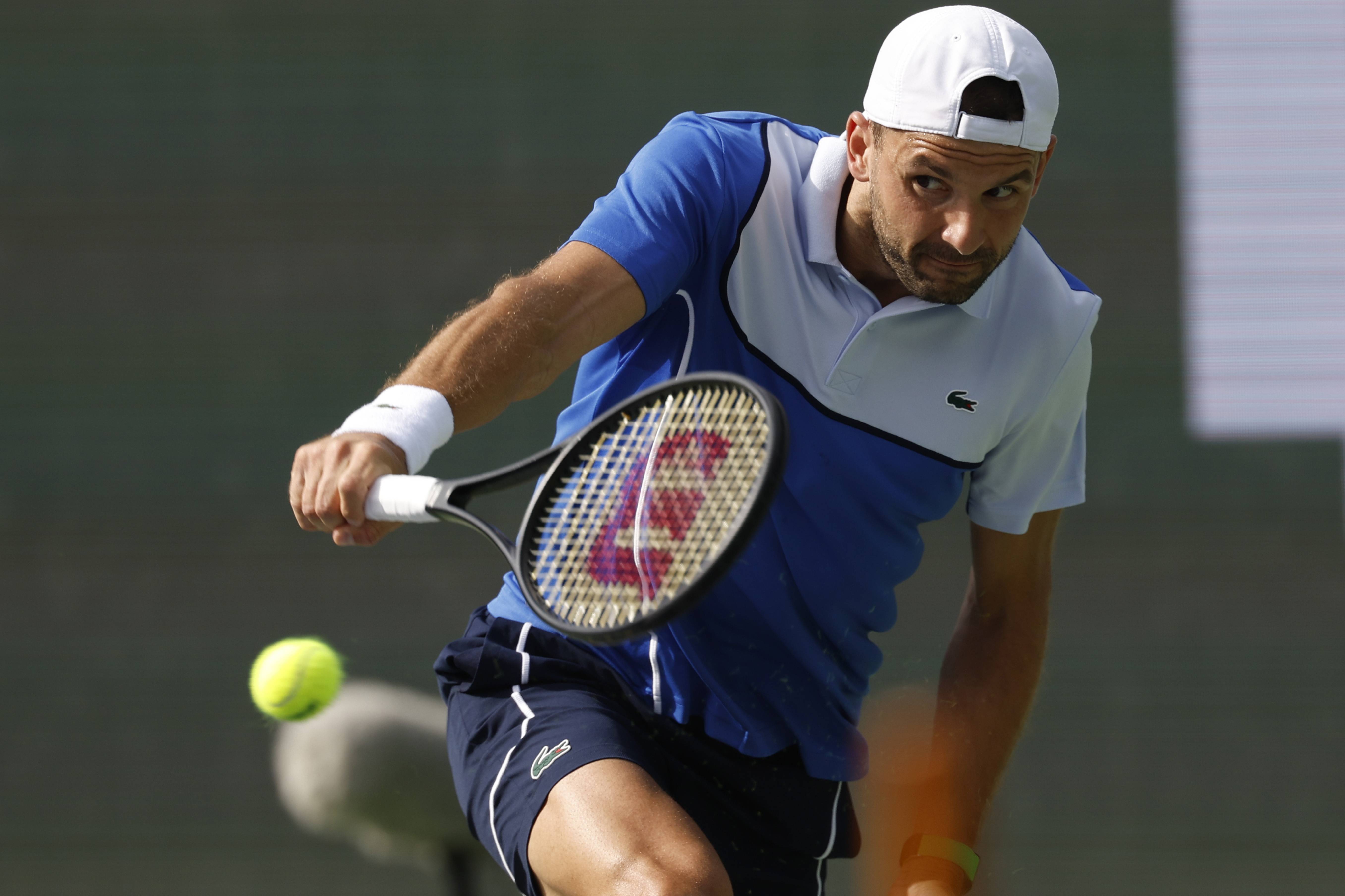 IM体育-世界网球队完胜日本网球队，梅德韦杰夫关键制胜的简单介绍